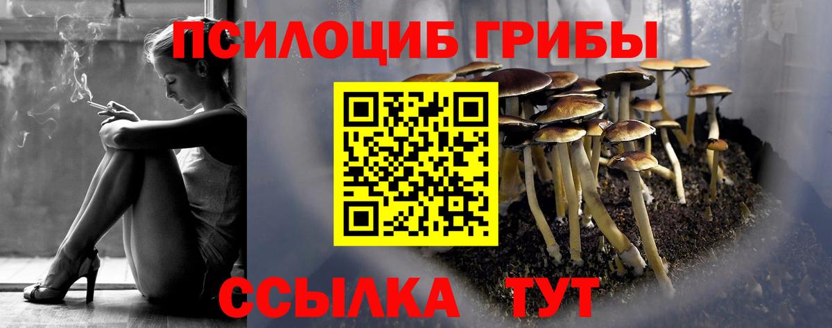 Кимры  Псилоцибиновые грибы Psilocybe  где купить наркоту  Вход с VPN 